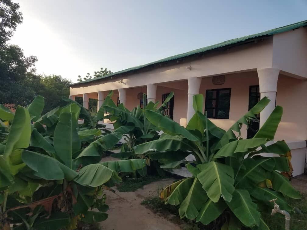 Camping Sitaba Lodge Georgetown Exterior photo
